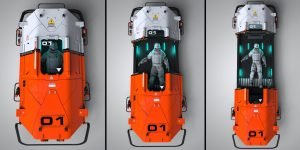 calico evac 06